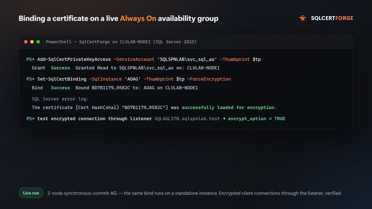 A live run on a two-node Always On availability group: private-key access granted, certificate bound, the SQL Server error log confirms it loaded for encryption, and an encrypted connection through the listener verifies.
